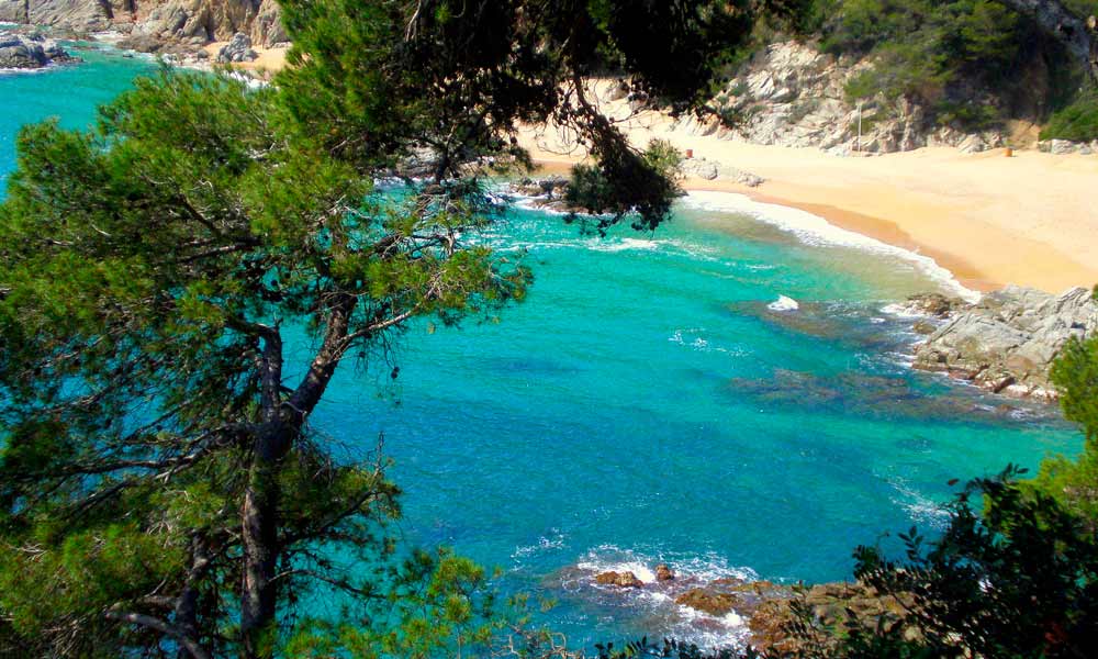 Superyacht support on the Costa Brava – discreet, efficient, and personalized service