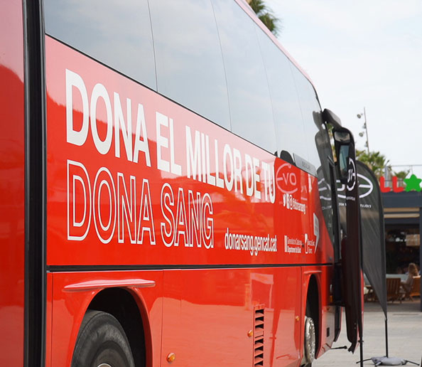 dona-sang-evo-3